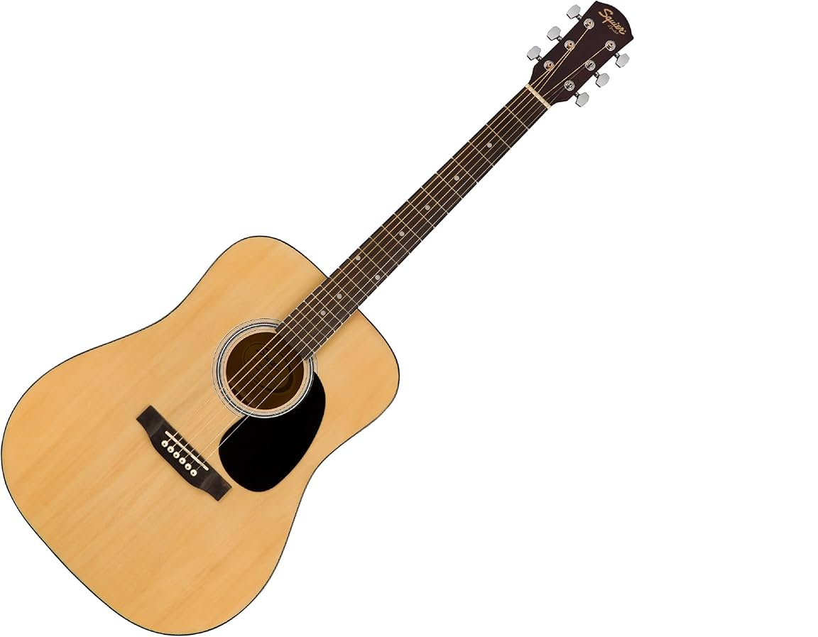 Professional Acoustic Guitar
